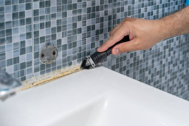 Best Mold Testing and Removal  in La Mirada, CA