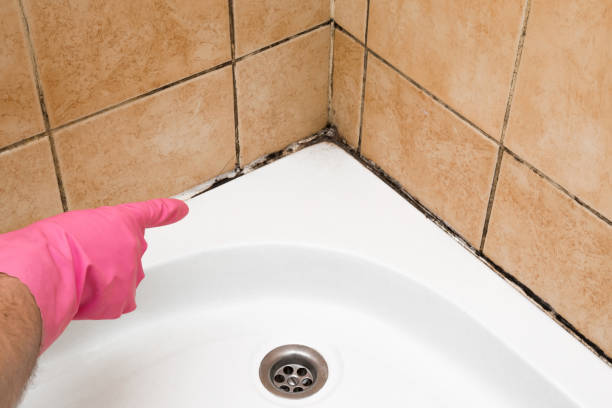 Best Crawl Space Mold Removal  in La Mirada, CA